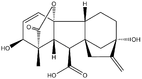 赤霉素GIBBERELLIC ACID，居然有這么神奇？